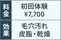 料金・効果の表