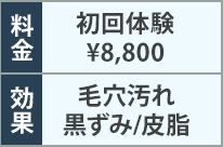 料金・効果の表