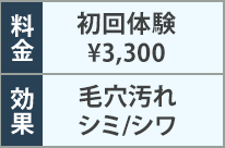 料金・効果の表