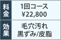 料金・効果の表