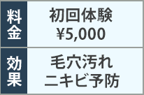 料金・効果の表